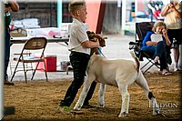 LCFAIR17-2333.jpg