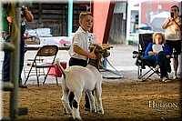 LCFAIR17-2334.jpg