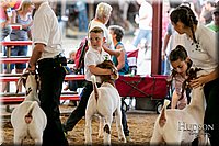 LCFAIR17-2340.jpg