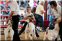 LCFAIR17-2341.jpg