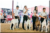 LCFAIR17-2369.jpg