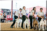 LCFAIR17-2370.jpg