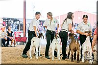 LCFAIR17-2371.jpg