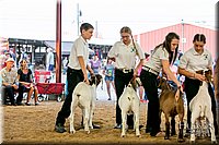 LCFAIR17-2372.jpg