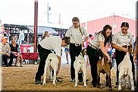 LCFAIR17-2373.jpg