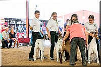 LCFAIR17-2374.jpg