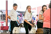 LCFAIR17-2376.jpg