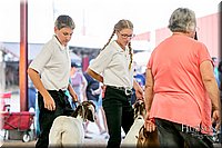 LCFAIR17-2377.jpg