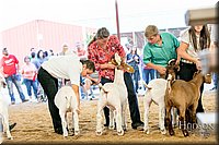 LCFAIR17-2378.jpg