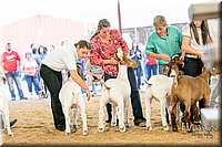 LCFAIR17-2379.jpg