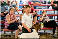 LCFAIR17-2406.jpg