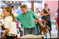 LCFAIR17-2407.jpg