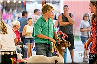 LCFAIR17-2408.jpg