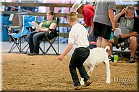 LCFAIR17-2412.jpg