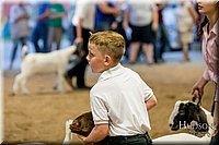 LCFAIR17-2416.jpg