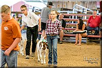 LCFAIR17-2419.jpg