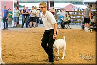 LCFAIR17-2424.jpg