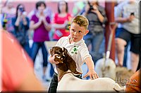 LCFAIR17-2429.jpg