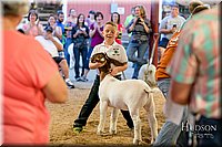 LCFAIR17-2430.jpg