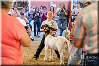 LCFAIR17-2431.jpg