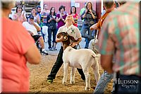 LCFAIR17-2433.jpg