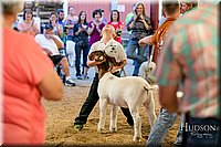 LCFAIR17-2434.jpg