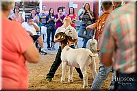 LCFAIR17-2435.jpg