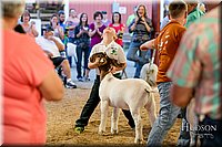 LCFAIR17-2436.jpg