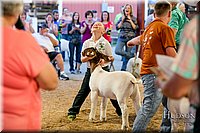 LCFAIR17-2437.jpg