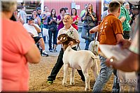 LCFAIR17-2438.jpg