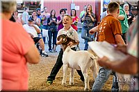 LCFAIR17-2439.jpg