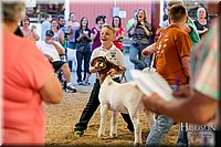 LCFAIR17-2440.jpg