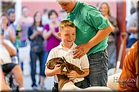 LCFAIR17-2444.jpg