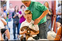 LCFAIR17-2445.jpg