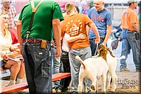 LCFAIR17-2448.jpg