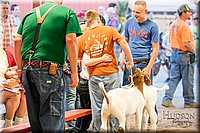 LCFAIR17-2449.jpg