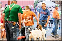 LCFAIR17-2451.jpg