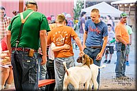 LCFAIR17-2452.jpg