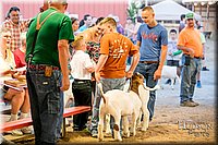 LCFAIR17-2454.jpg