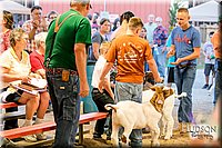 LCFAIR17-2457.jpg