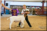 LCFAIR17-2458.jpg