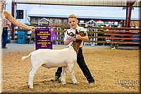 LCFAIR17-2461.jpg