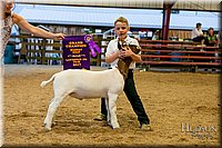 LCFAIR17-2463.jpg