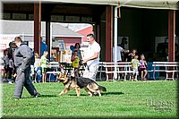 LCFAIR17-1763.jpg