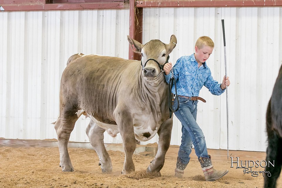 LCFAIR17-2855.jpg
