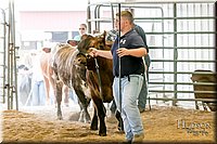 LCFAIR17-2717.jpg