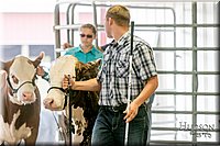 LCFAIR17-2718.jpg