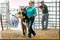 LCFAIR17-2719.jpg