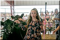 LCFAIR17-2722.jpg