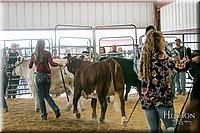 LCFAIR17-2727.jpg